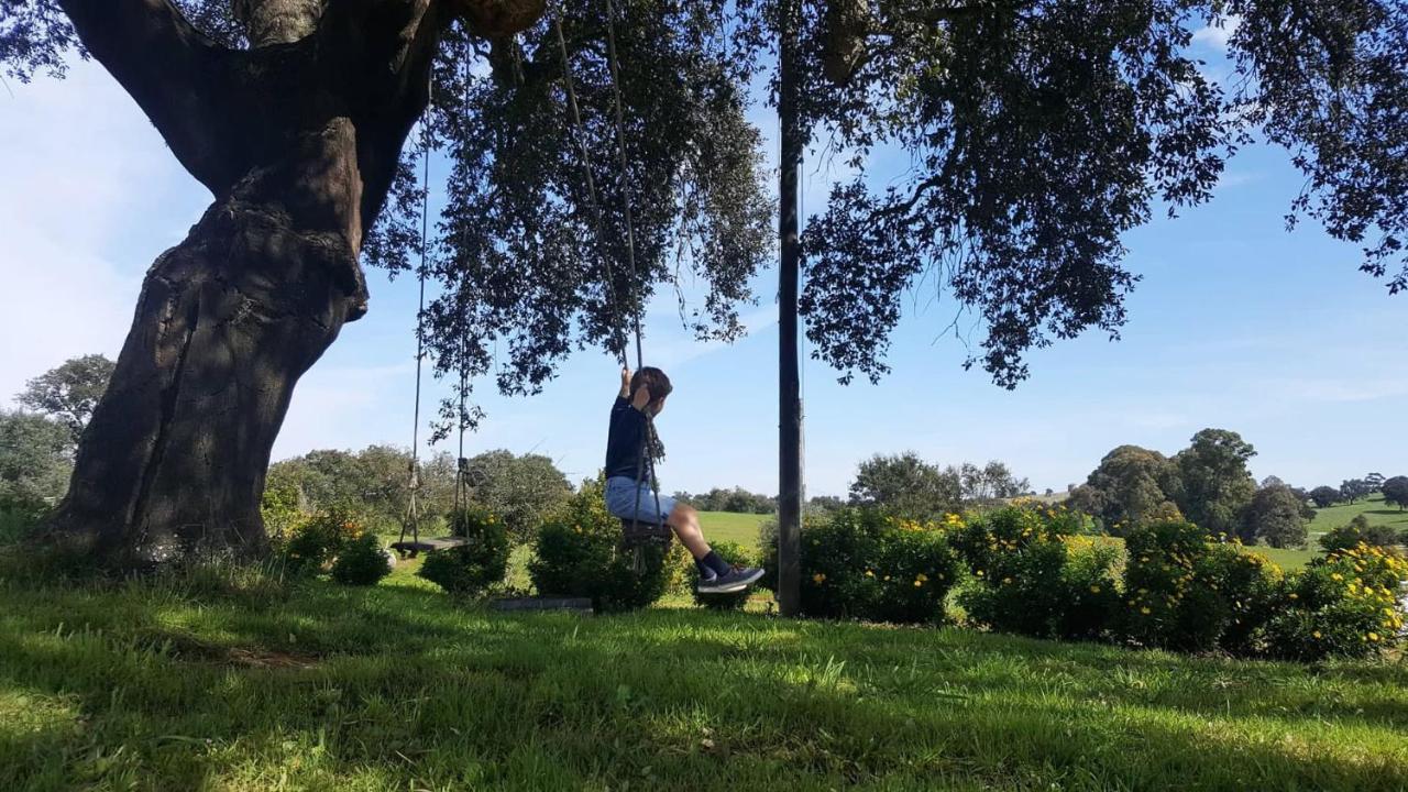 Herdade Reguenguinho Cercal do Alentejo Luaran gambar